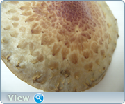 0_130970_bda87b96_orig.png
