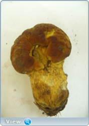 0_13097c_2089ab84_orig.png