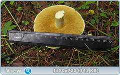 0_e6a1c_2d704613_orig.png