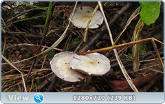 0_e9af1_f3606c01_orig.png