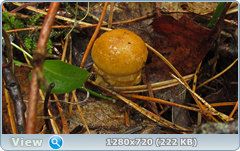 0_eb210_984113a_orig.png