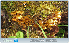 0_e9610_7145f415_orig.png