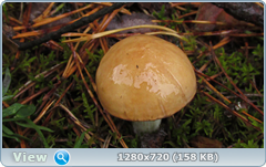 0_ea78b_3e683143_orig.png