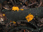 0_7b424_561e2043_S.jpg