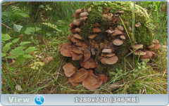 0_113049_a80d9871_orig.png