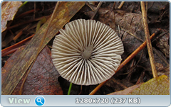 0_f27d4_6de435e_orig.png