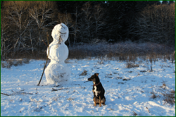 0_1130ce_9378c9e7_orig.png