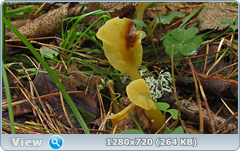 0_eab73_d5469ac9_orig.png