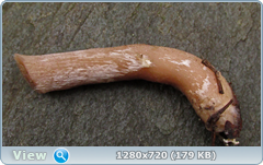 0_f2814_31d03ddc_orig.png
