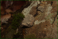 0_e3f72_653de446_orig.png