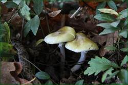 0_13184c_203c96c3_orig.jpg