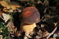 0_13185f_1fe287c0_orig.jpg