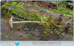 0_10928e_564898c3_orig.png