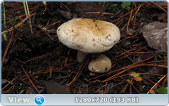 0_109650_a24ea36d_orig.png