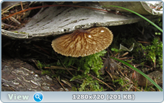 0_10a321_c52d667e_orig.png