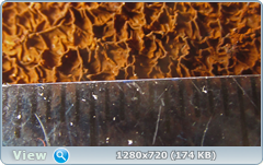 0_115084_21d89311_orig.png