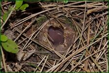 0_f632a_e2666032_orig.jpg