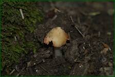 0_fc7e4_b285cd62_orig.jpg