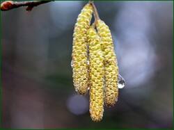 0_13cabd_e3d64772_orig.jpg