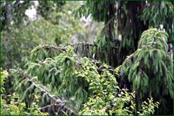 0_142eab_562124df_orig.jpg