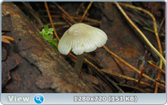 0_109274_58ff5b84_orig.png