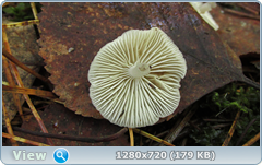 0_10927a_a2b3ea31_orig.png