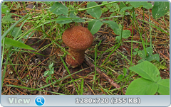 0_10aa0f_1558ee2_orig.png