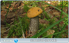 0_10acf6_73b364a9_orig.png