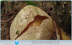 0_10f33f_9a7908ed_orig.png