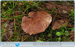 0_11068b_31dc6aa1_orig.png