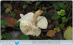 0_112b01_7042fbfc_orig.png