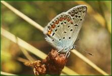 0_fd208_6c349a9_orig.jpg