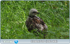 0_10aaaf_37119500_orig.png