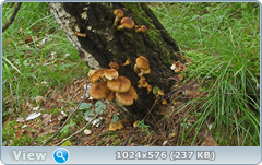 0_12bbce_98489fe4_orig.png