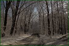 0_f1804_39792809_orig.jpg