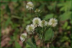 0_123c61_5df4238b_orig.jpg