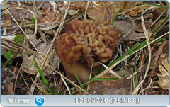 0_105528_e22806e8_orig.png