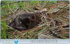 0_10615c_a4656699_orig.png