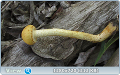 0_106164_95d3d53b_orig.png