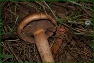 0_eb3b7_f968bb15_orig.jpg