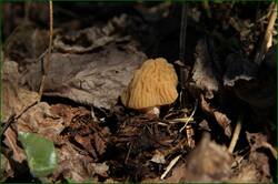 0_11f076_44345355_orig.jpg