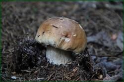 0_12852e_1a41278e_orig.jpg