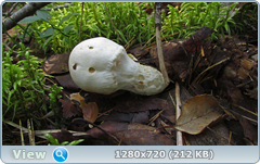 0_11213a_ae06d189_orig.png