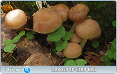 0_1122c5_cc867c22_orig.png