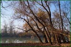 0_c5d43_a3741e2d_orig.jpg