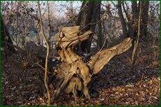 0_c5d5b_5948bb76_orig.jpg