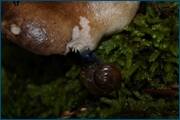 0_d2396_6d1d71ea_orig.jpg