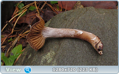 0_f2810_aa50e9a4_orig.png