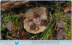 0_f6da4_91886c66_orig.png