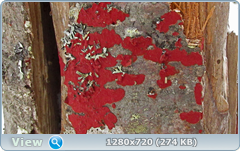 0_fb605_758467a7_orig.png